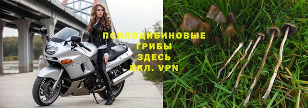 mix Алексин