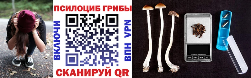 сколько стоит  Лабытнанги  Галлюциногенные грибы мухоморы 
